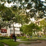 catolica-01