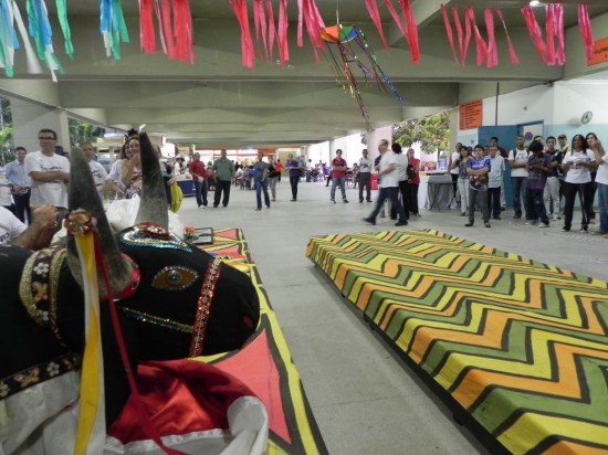 carnaval (5)