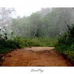Daniel-Paz2