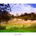 Giovane2