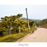 Henrique2