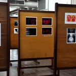 Expo-Interdiciplinar--02