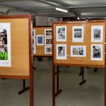 Expo Siucs 02